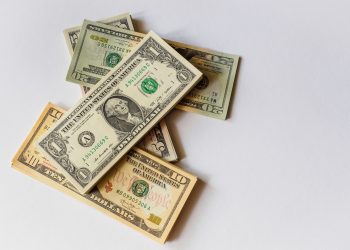 Dollarsedler
